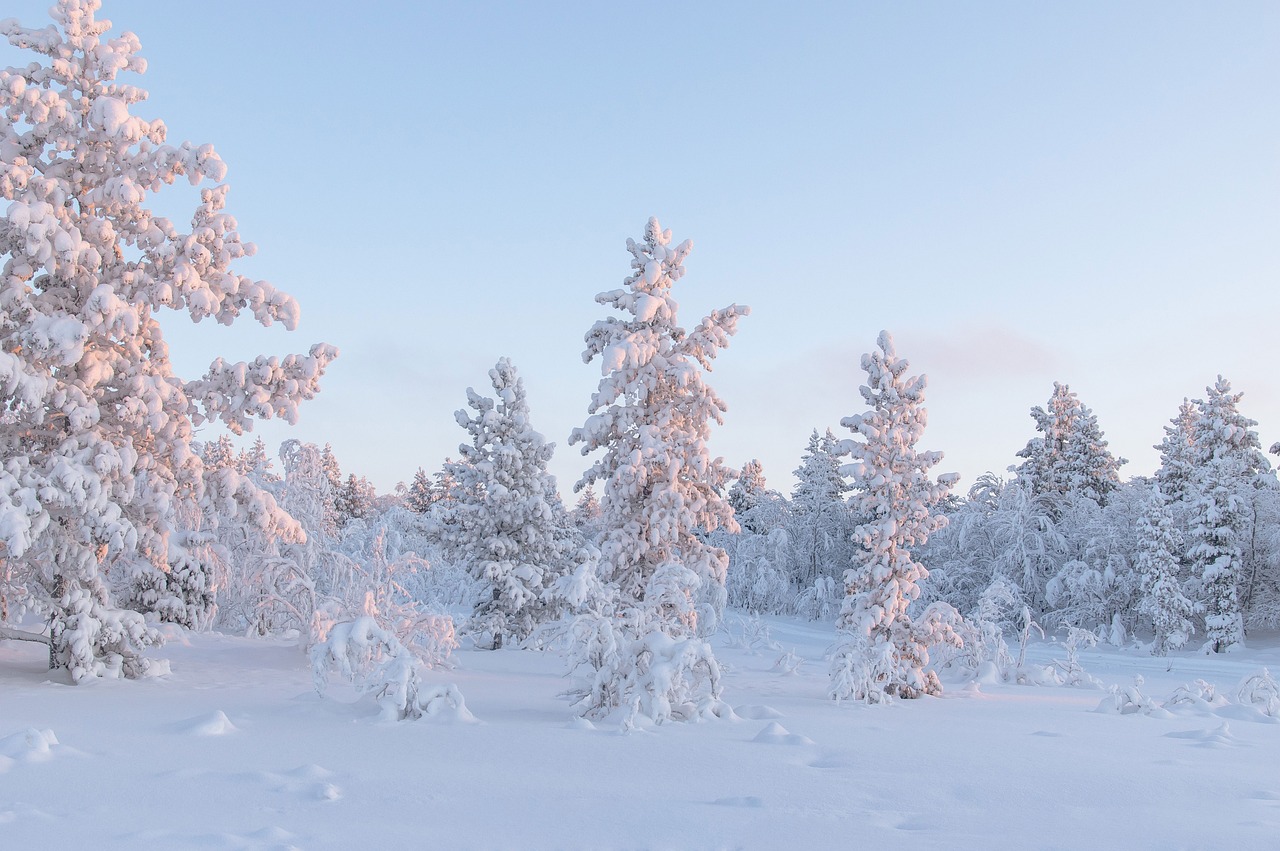 Kashmir Winter Wonderland Special Tour